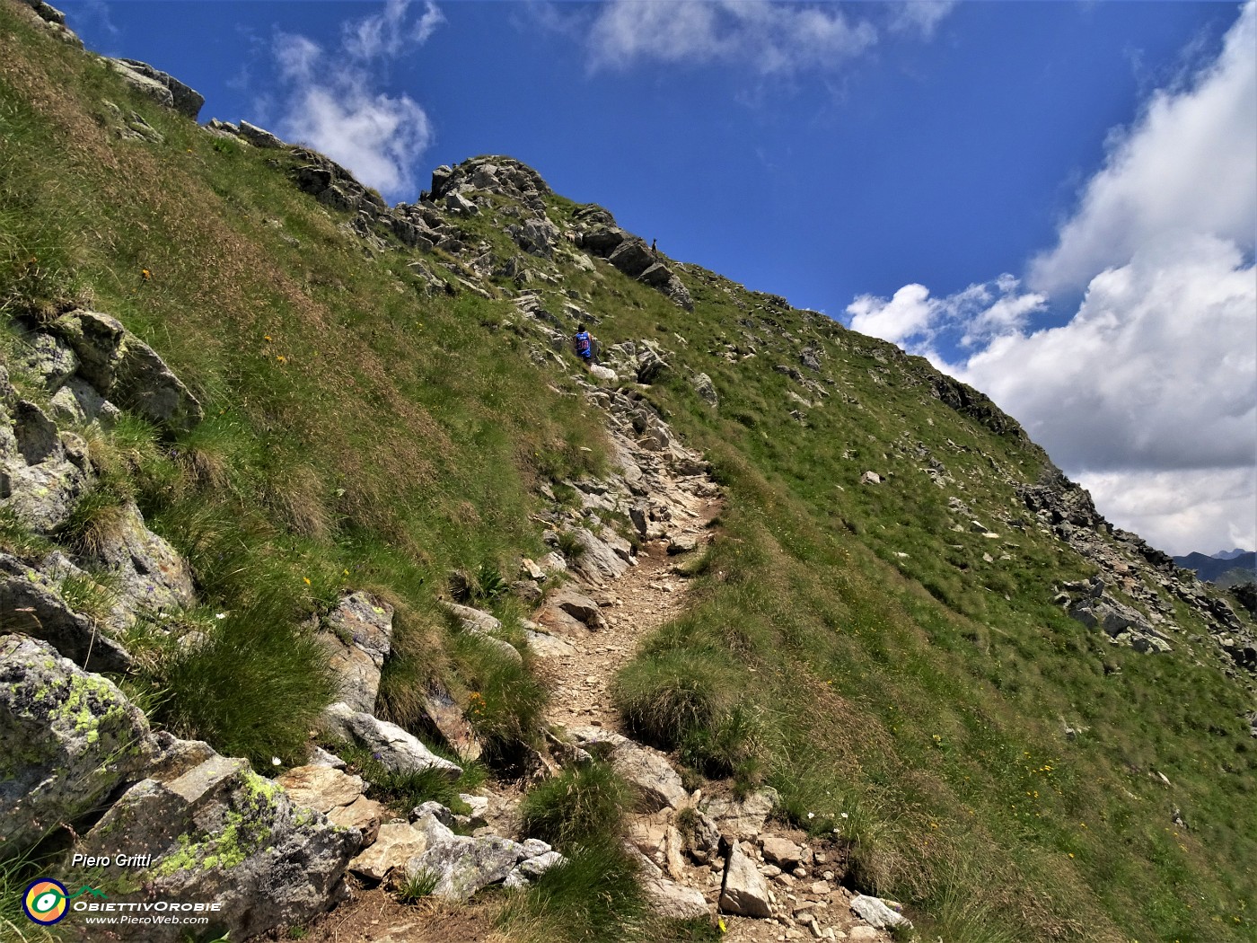 37 In alto su roccioni stambecchi curiosi ci osservano.JPG